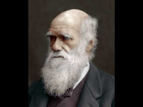 Mechanisms of Microevolution