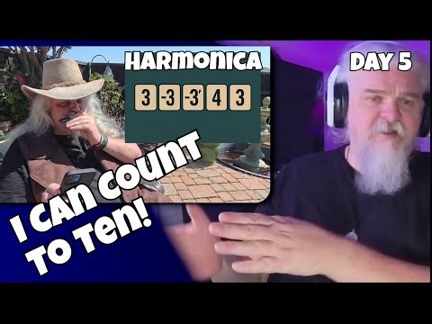 30 Day Harmonica Roast Challenge – Day 5 I Harmonica By The Numbers