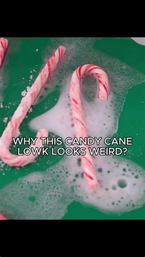 I don't even know bro #stupid #9_80a #serasvictoria #hellsing #fyp | Hellsing Ultimate