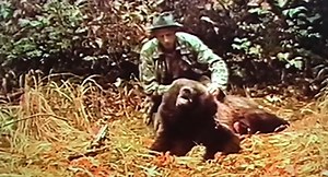 Watch Fred Bear Hunt Kodiak Bear With a Recurve Bow - AllOutdoor.com