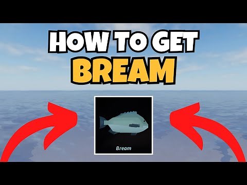 How To Get Bream in Fisch (Best Location & Method)