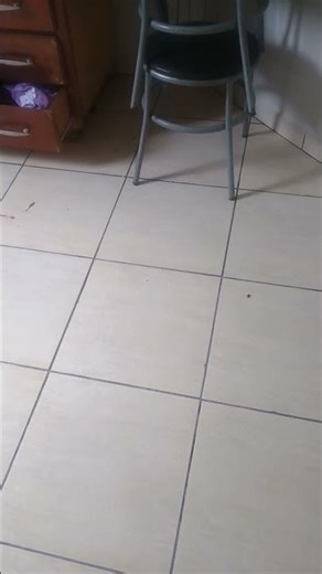 31 de dezembro de 2025