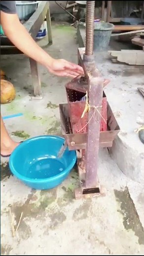 TUTORIAL membuat minyak VCO / minyak kelapa asli