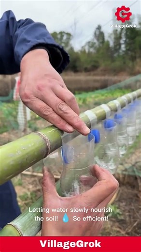 DIY Bottle Irrigation System: Easy Bamboo Garden Hack