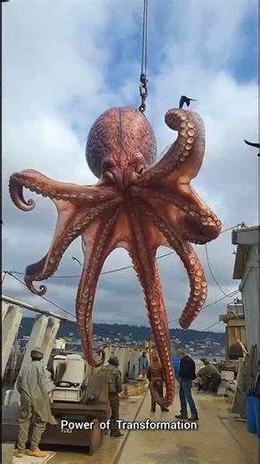 before And after Animal Transformation 💀 #animals #animaltransformation #beforeafter