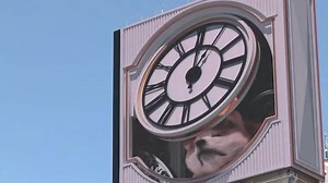Giant 3D dog appears on Tokyo billboard