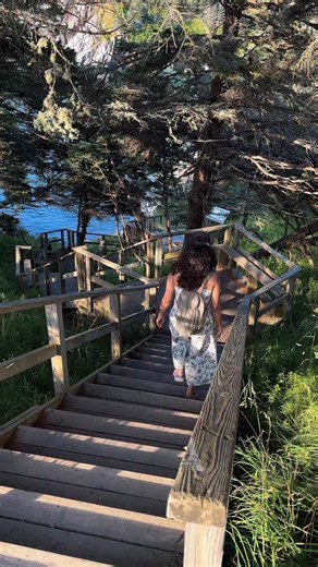 Follow @roving.mapletales for more hiking and road trip recommendations in Nova Scotia 🇨🇦🦞 This tiny coastal park in Nova Scotia has a secret past 👀 Read details below👇 📍This is Smuggler’s Cove Provincial Park in Nova Scotia (about 3 hours from Halifax). Smuggler’s Cove was once used to hide liquor during Prohibition in the 1920s. It’s a small park, but the views from the observation deck down the stairs are beautiful. The trails are short and easy to hike, with picnic tables and restrooms