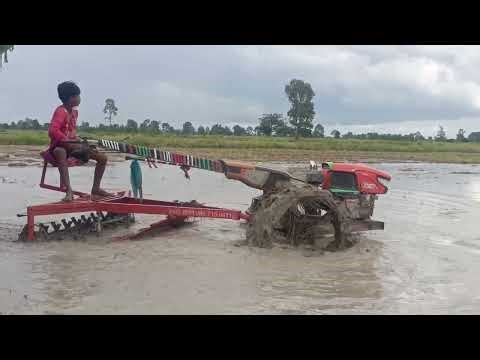 The Rhythm of the Rice Fields: Tilling the Land in Rural Cambodia