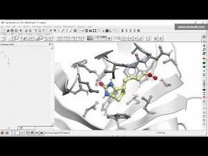 2D Ligand Receptor Interaction Diagram.