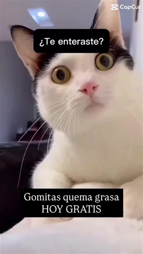 Tenemos Promo!! Gomitas quema grasa gratis en tu compra. #itworksdistributor #itworks #itworksproducts #bajardepesofacil #ketocafe #cafequemagrasa🔥 #desinflamarelestomago #morosil #gomitasquemagrasa #gomitasquemagrasa🔥 #gomitasquemagrasa🔥localizada #reducircintura