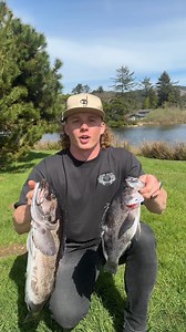 120K views · 2.3K reactions | Rock fish or Lingcod? | Vlad Siryk | Facebook