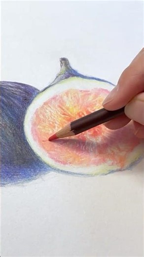 Colour Drawing of Figs | Fruit Art Shorts