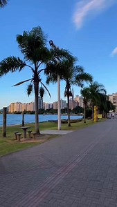 3.6K views · 20K reactions | Do conforto da sua suíte Blue Tree Floripa para Beira-Mar. É só abrir a porta e deixar a brisa te guiar. Tudo que você precisa está a passos de distância. 朗 #BlueTreeHotels #BlueMoment #BlueTreeFloripa #Florianopolis #FlorianopolisSC | Blue Tree Premium Florianópolis | Facebook