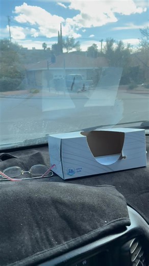 Here in El Paso mule deer by our house!!! | Pico Explains | Facebook