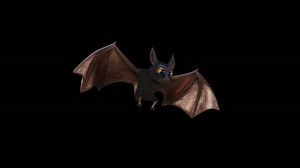 Halloween stylized bat.