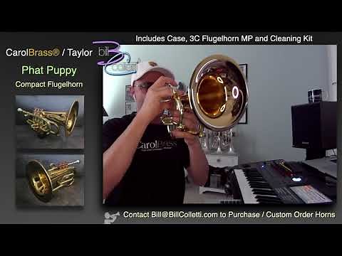 CarolBrass® Pocket Flugelhorn / Taylor Phat Puppy Review/Demo