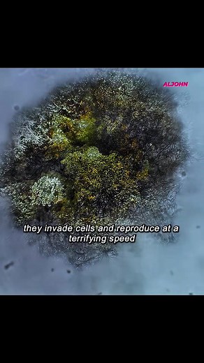 title:superdeep movie (2021) #fbreelsfypシ゚ #fypシ゚viralシ | Mandac A L John