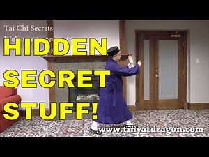 Tai Chi Chuan Secrets - Needle into the Sea Bottom