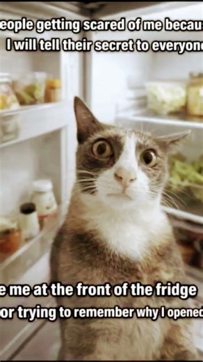 bahut bada dimag hai computer jaisa virus to lagega he na 😂#funny #memes #cat #relatable #memes_krf