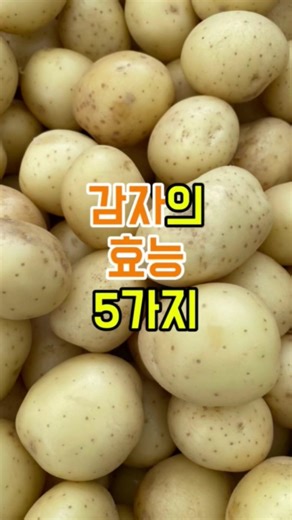 감자의 효능 5가지 🥔