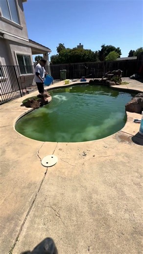 Best Pool Service Software In 2026