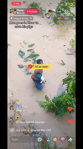 man climb in river to save pig in the Hurricane Melissa In Jamaica!!!! | Rawpa Crawpa Adventures And Travel Vlogs