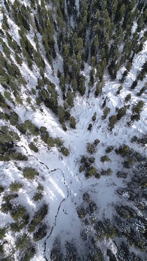 Experience Winter Wonderland at Malam Jabba Resort