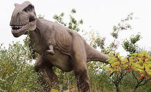 Drink with dinosaurs? Brew at the Zoo starts with creative twist