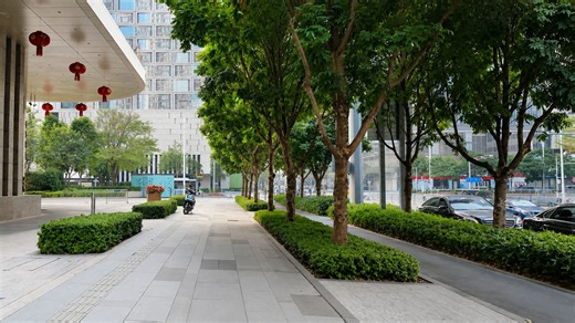 Urban Greenery Complements Contemporary Architecture Across Chinese City Centers