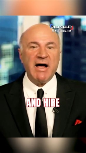 Kevin O'Leary On Cali Wealth Tax: "GET THE WHACKING STICK OUT!" | The Daily Caller