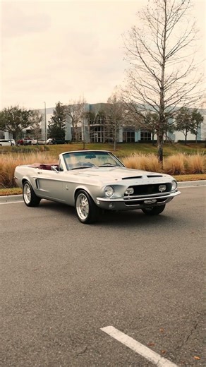 Color combination like no other