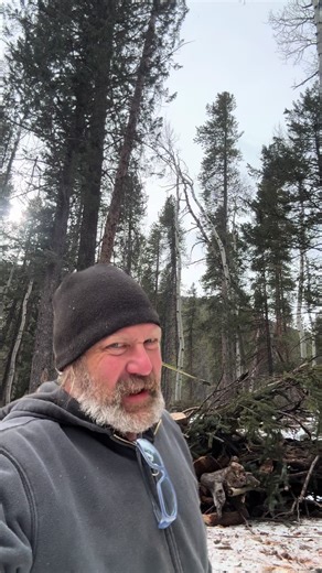 Off-Grid Logging Challenge: Trees, Winches, and Fires