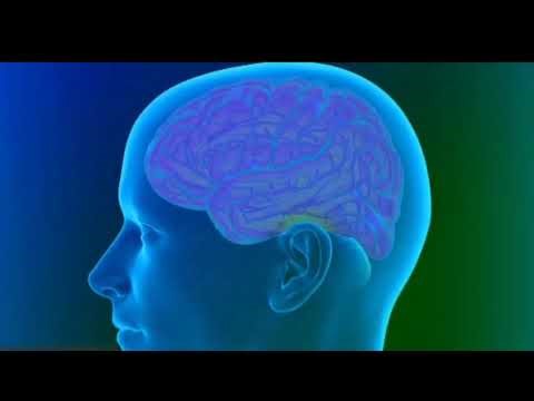 The Future of Robotics: Artificial Neurons That Learn and Adapt