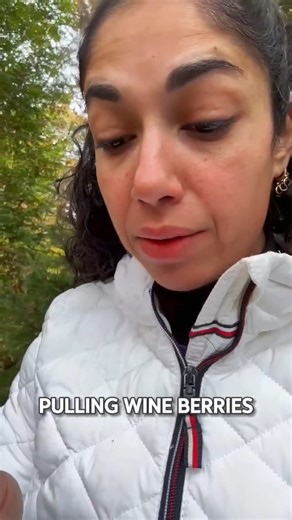 Some invasive species — like wineberry — might look like a great addition to your garden. They provide berries for wildlife and can seem harmless at first glance. But behind the scenes, they spread quickly, outcompete native plants, and disrupt the balance of the entire ecosystem. While birds may enjoy the fruit, the long-term impact on soil health, plant diversity, and native wildlife is far greater than we often realize. A better choice? Swap invasive species for native berry plants that suppo