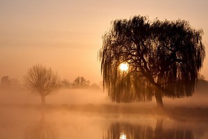 UK weather map: Where will see a sunny weekend after snow and wind warnings