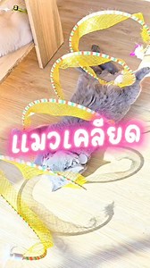 4.9K views · 512 reactions | แมวเครียดมาก ทำยังไงดี ช่วย Comment วิธีแก้ปัญหาหน่อย 555 ร้านเปิด 11:00 น - 21:00 น เปิดบริการทุกวันร้านอยู่ในห้าง Bravo BKK พระราม 9 หรือห้าง Show DC นั่นเอง | Play with cat Cafe - คาเฟ่แมว | Facebook