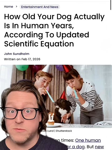 Understanding Your Dog's Real Age: New Scientific Insights