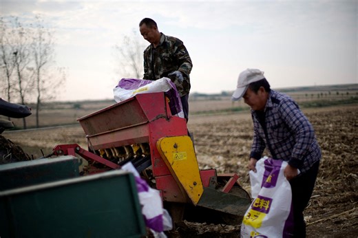 How does the Iran war affect fertiliser supplies, prices and food security?