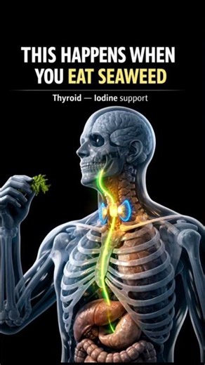 Seaweed Benefit for Thyroid Support