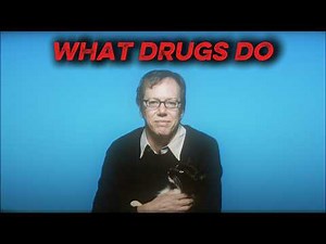 Your Brain on Drugs: The Science They Never Told You