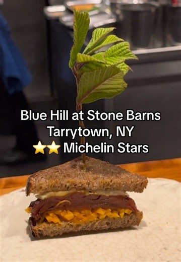 Michelin Star Dinner at Blue Hill at Stone Barns Experience