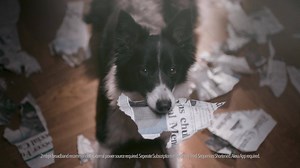 971K views · 821 reactions | Get news and information, play music,...