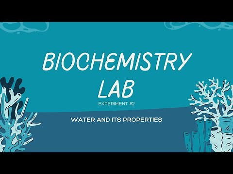 Biochemistry Experiment#2 - Water and Its Properties (Group 2)