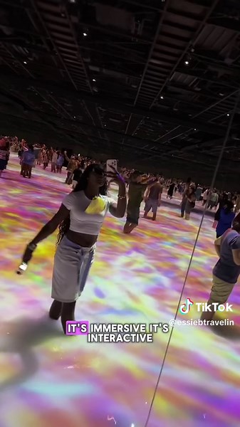 TeamLab Planets Tokyo: Immersive Art Experience