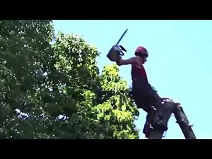 Tree Felling Fails Compilation!