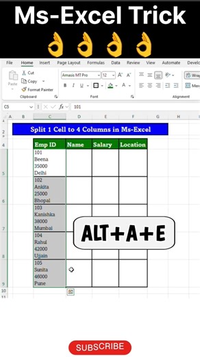 Ms-Excel Trick to Split 1 Cell to 4 Columns😲#Text to Column#excel#exceltips#excelshorts#excelhacks