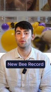Bees are ever smarter than we knew (again)