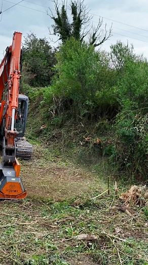 245K views · 1.2K reactions | Stump to Sawdust in Seconds! ️ The...