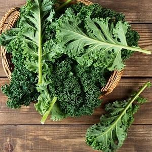 Best Kale for Juicing: 5 Varieties & Kale Benefits - Kitchen Habit