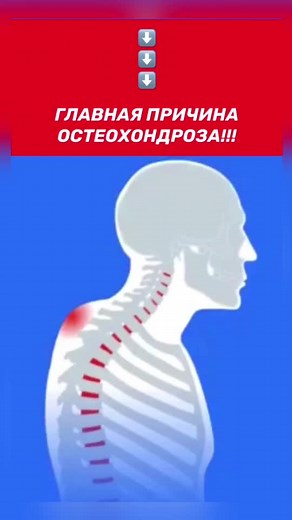 Подписывайся на меня в Инстаграм! В профиле @zolotukhin_evgeny уже более 100 бесплатных упражнений для спины! #остеохондроз #позвоночник #сутулость